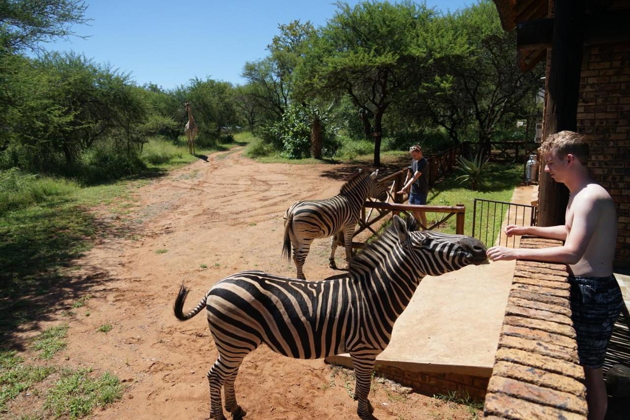 Giraffe Plains Villa Marloth Park Kültér fotó