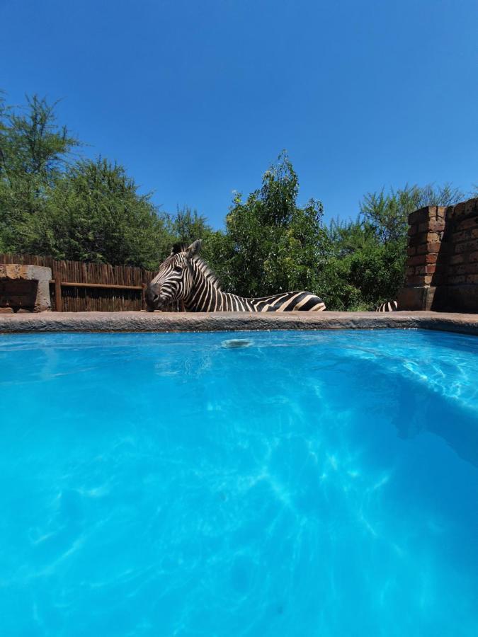 Giraffe Plains Villa Marloth Park Kültér fotó