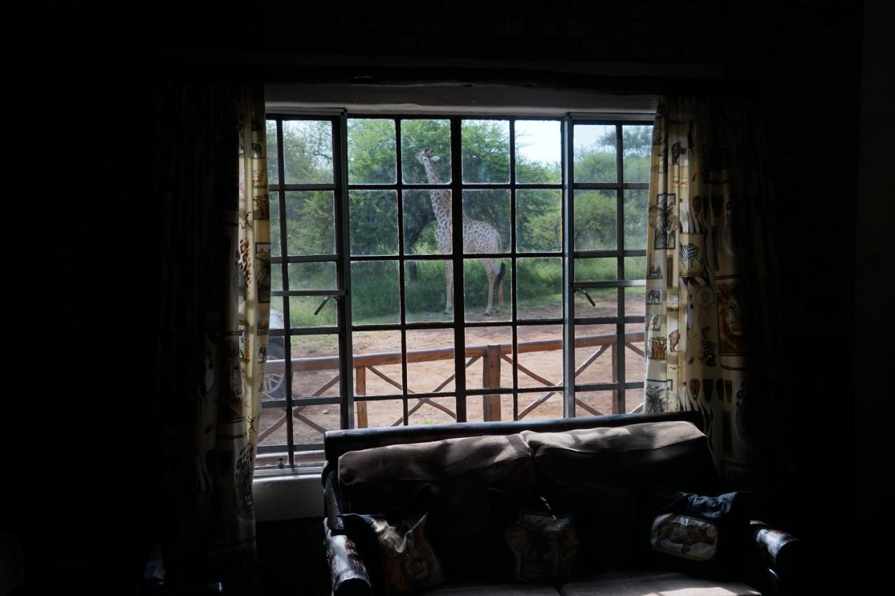 Giraffe Plains Villa Marloth Park Kültér fotó