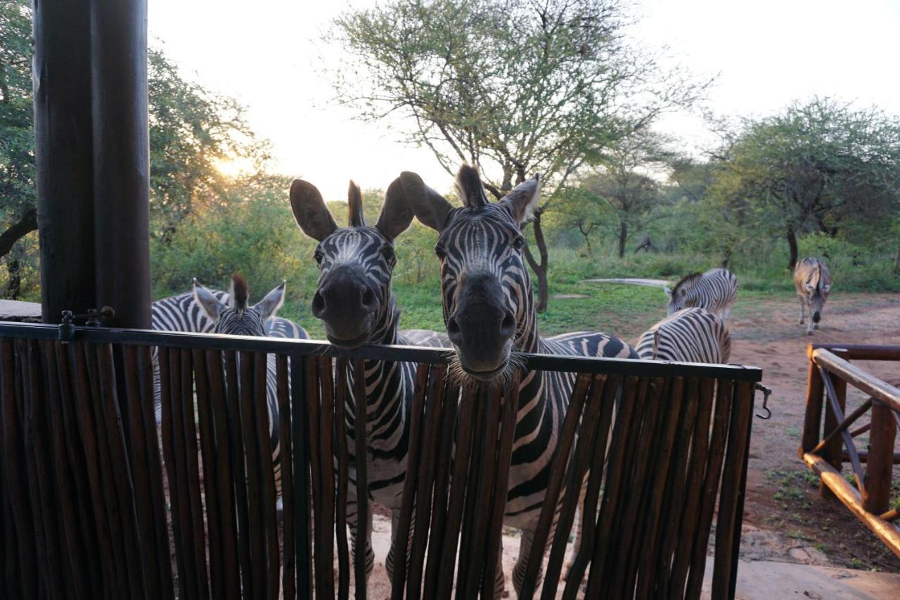 Giraffe Plains Villa Marloth Park Kültér fotó